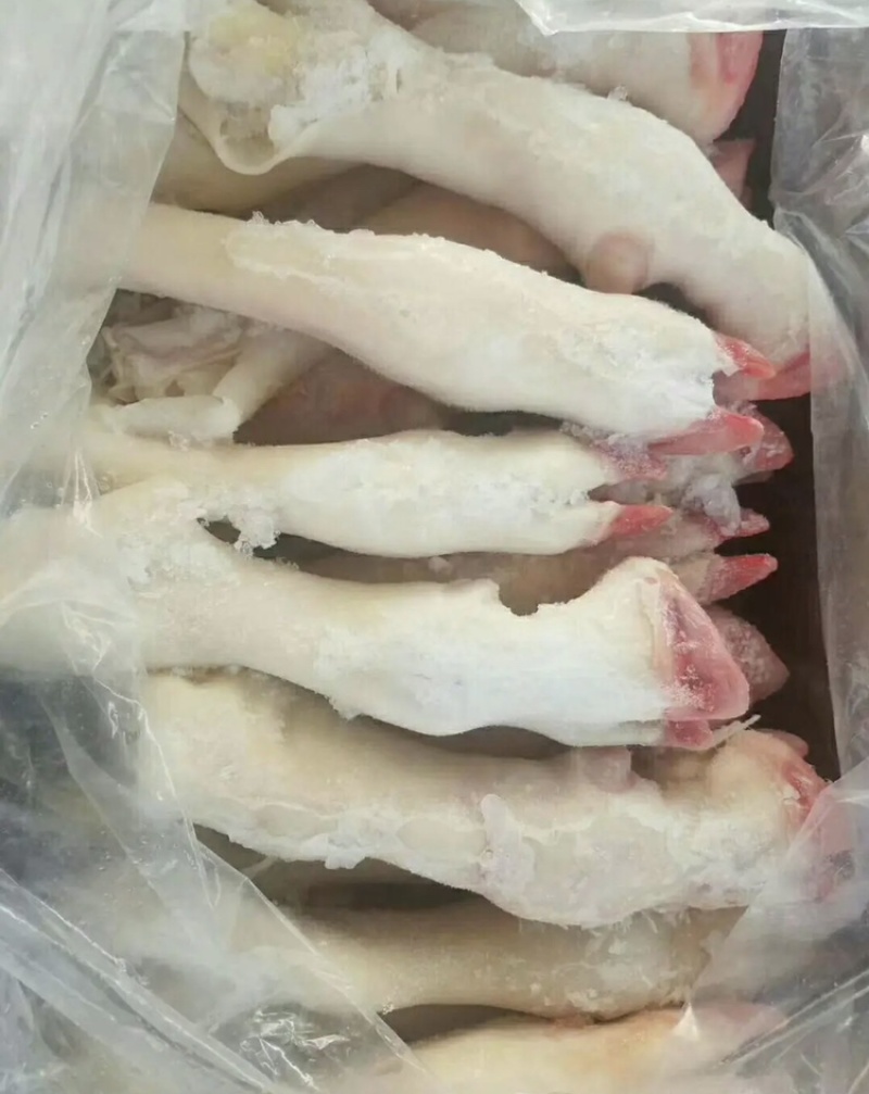 小羊蹄子规格齐全质量上乘量大价优饭店必备