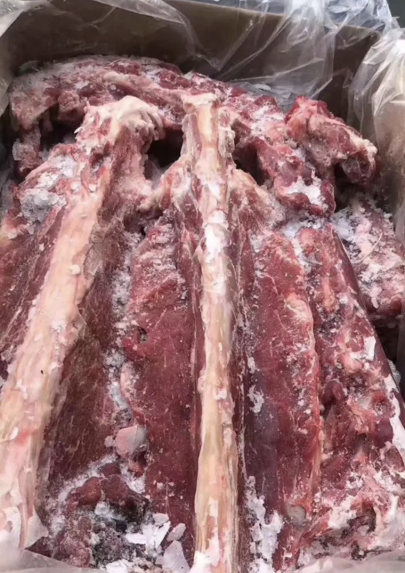 纯国产清真羊蝎子包装质量上乘欢迎咨询