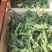 豌豆荚精品货大量供应中