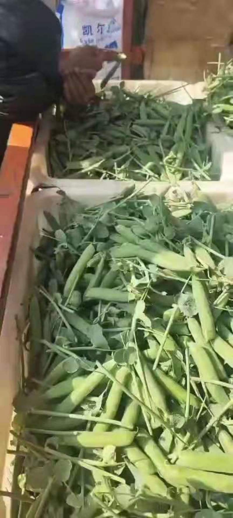 豌豆荚精品货大量供应中