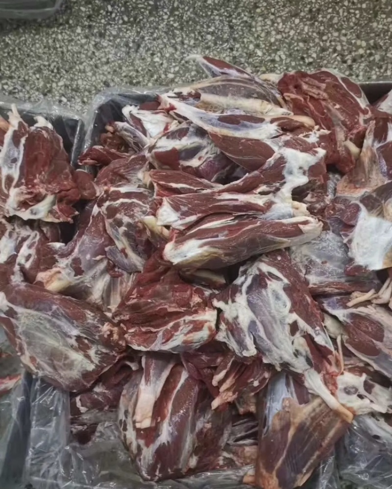 精品牛腱子国产质量上乘量大价优饭店必备