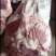精品牛腱子国产质量上乘量大价优饭店必备