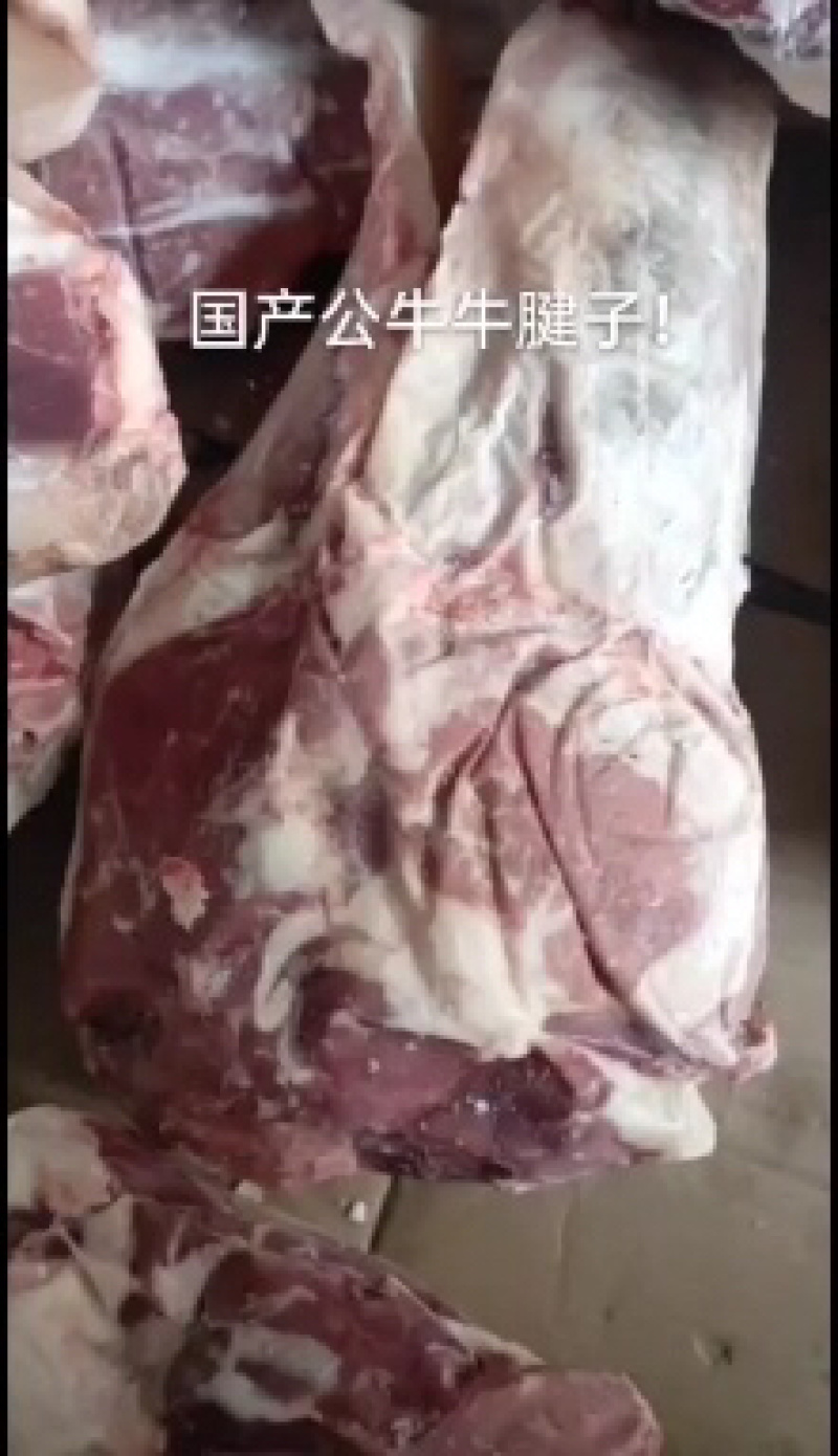 精品牛腱子国产质量上乘量大价优饭店必备