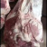 精品牛腱子国产质量上乘量大价优饭店必备
