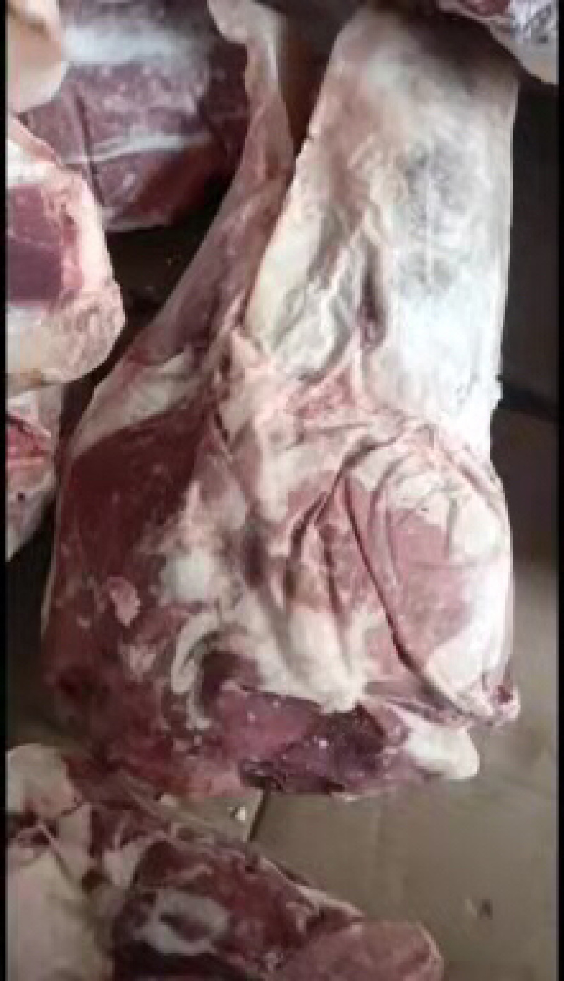 精品牛腱子国产质量上乘量大价优饭店必备