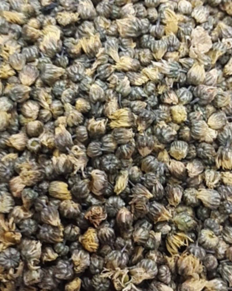 射阳洋马玉芬精品菊花茶