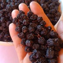 初级食用农产品黑果腺肋花楸(不老莓/野樱莓)果干