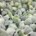 精品铁头甘蓝，云南甘蓝大量供应，量大从优，质量保证全国供应