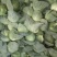 精品铁头甘蓝，云南甘蓝大量供应，量大从优，质量保证全国供应