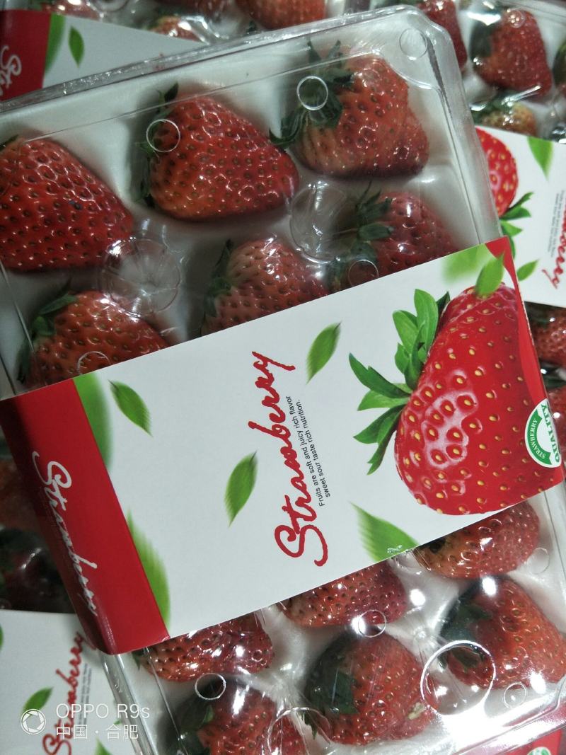红颜草莓精品包装货源充足口感甜可供蛋糕店电商超市