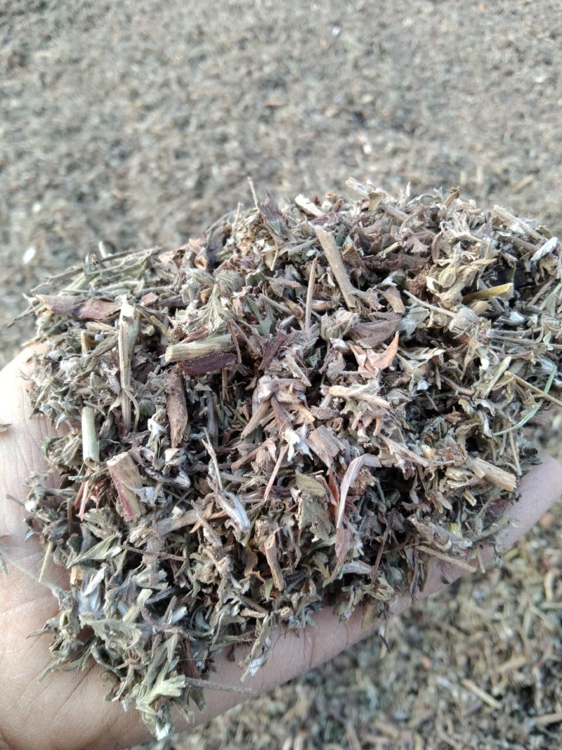 翻白草各种规格可搭配多品种采购大货联系客服
