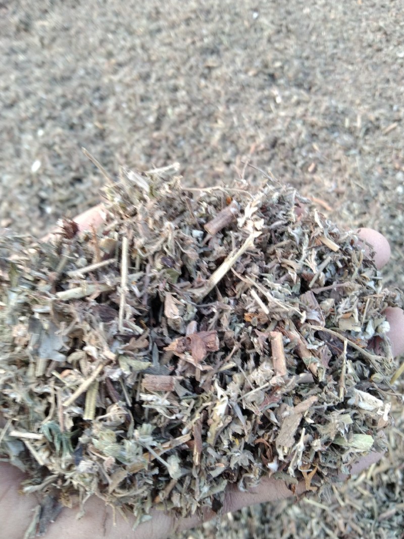 翻白草各种规格可搭配多品种采购大货联系客服