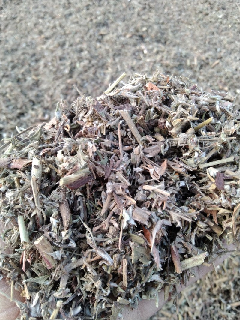 翻白草各种规格可搭配多品种采购大货联系客服