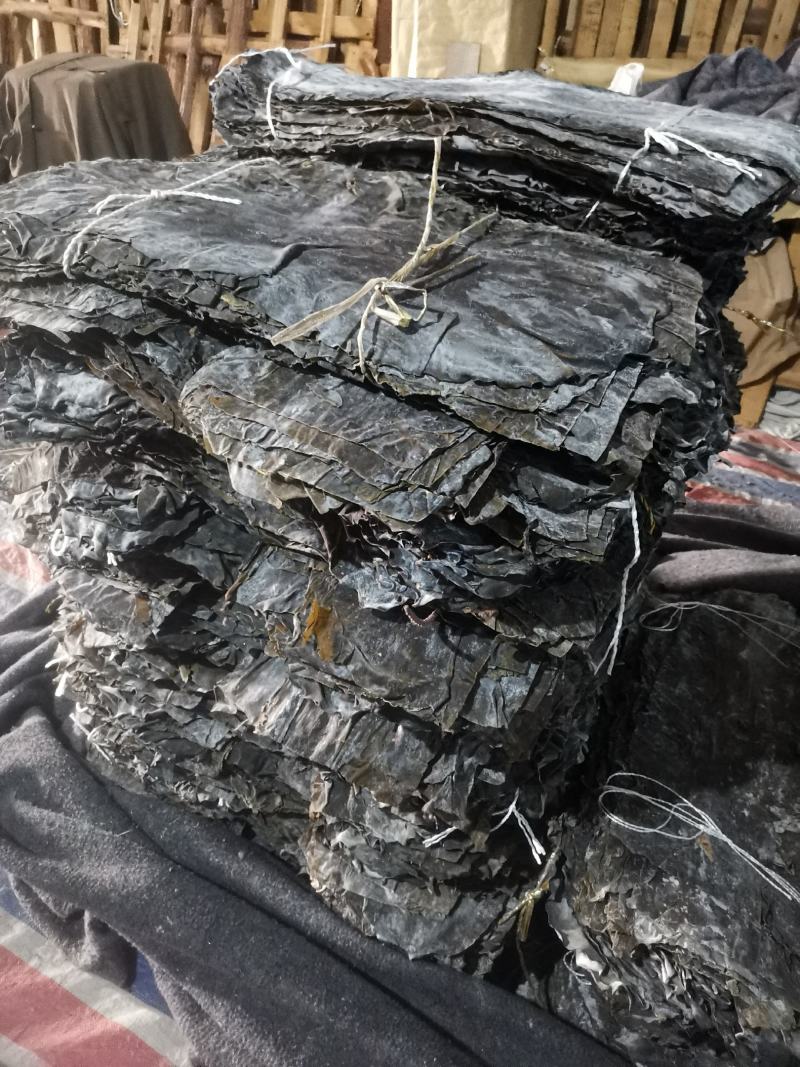 长岛干海带、海带干货、厚海带产地直供包邮