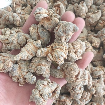 三七标准20头全干水洗货批发中药材