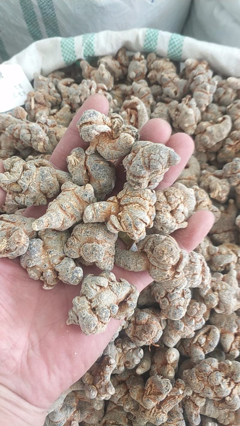 三七标准20头全干水洗货批发中药材