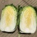 精品云南黄心大白菜，品质保证，全国各地发货