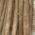 白玉山药大量上市