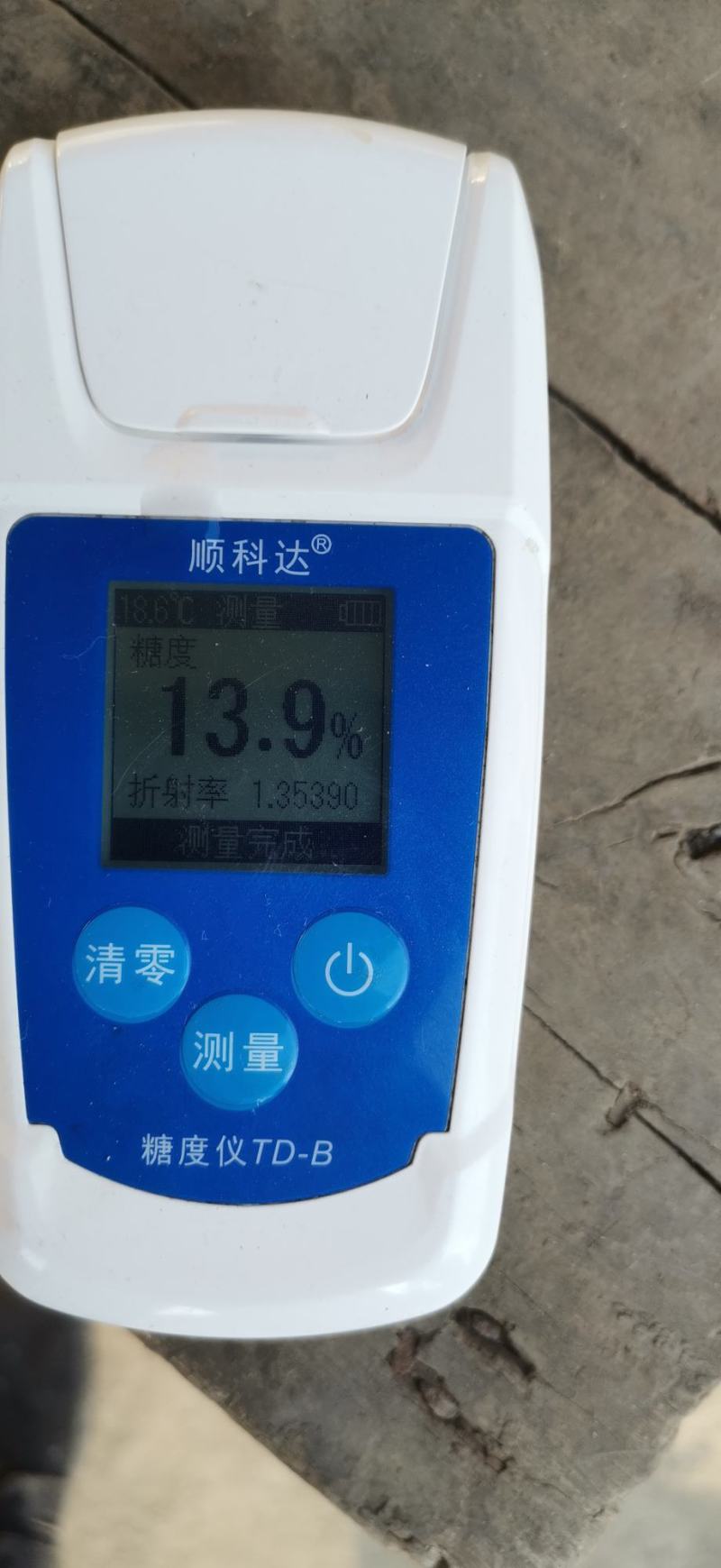 湖北当阳套袋椪柑【芦柑】大量供应