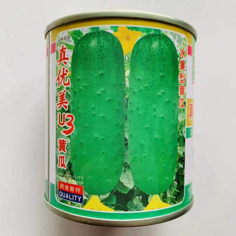 真优美U3杂交水果黄瓜种子瓜皮油亮嫩绿瓜把短抗高温耐低温