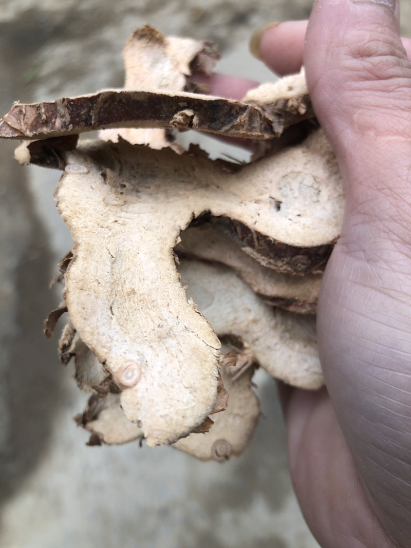 广西广东两广地区大良姜统货无硫磺干片