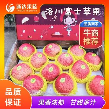 【实力商家】洛川红富士苹果大量供应，各种包装，口感脆甜