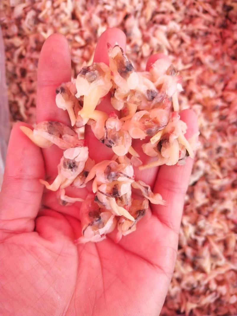 哈喇肉干去内脏产地直发批发不包运费