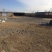 场地出租出卖养殖场养牛养羊养驴独院三相电养殖场
