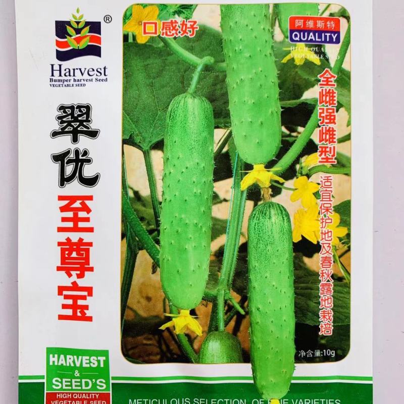 全雌强雌水果黄瓜种子，口感好香甜黄瓜种籽耐低温节节有瓜