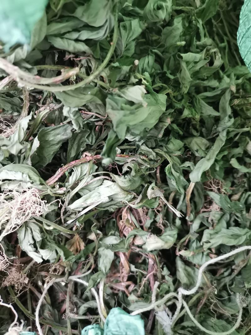 灵香草（香灵草）自产自销云南产地直销干货