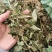 灵香草（香灵草）自产自销云南产地直销干货