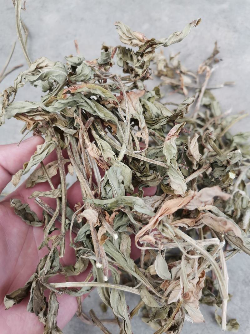 灵香草（香灵草）自产自销云南产地直销干货