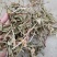 灵香草（香灵草）自产自销云南产地直销干货