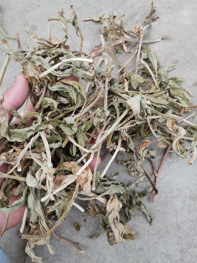 灵香草（香灵草）自产自销云南产地直销干货
