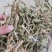 灵香草（香灵草）自产自销云南产地直销干货