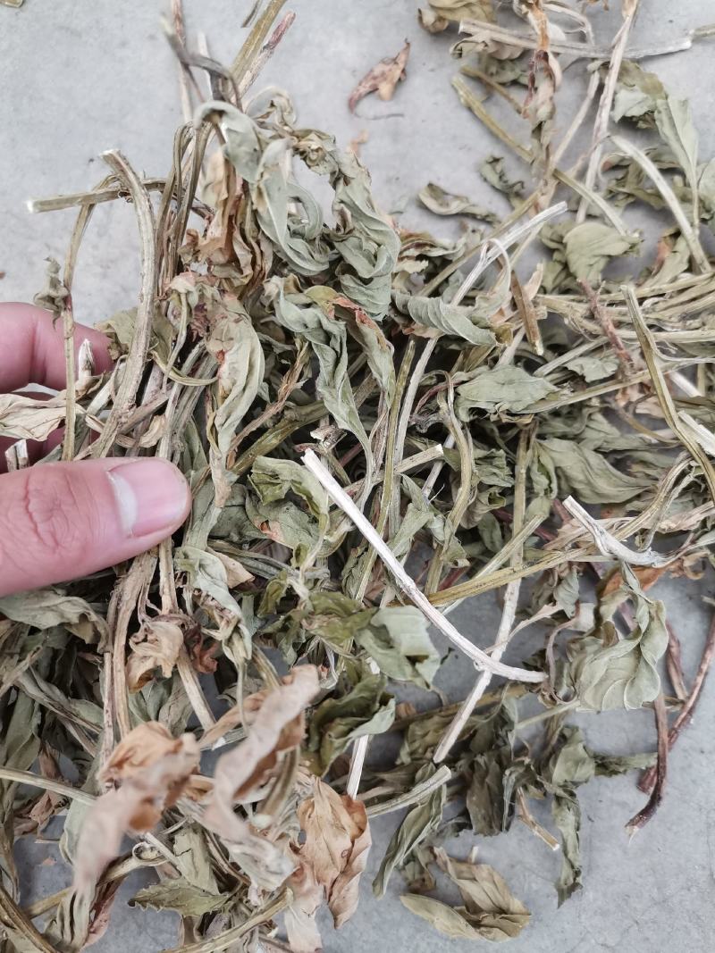 灵香草（香灵草）自产自销云南产地直销干货