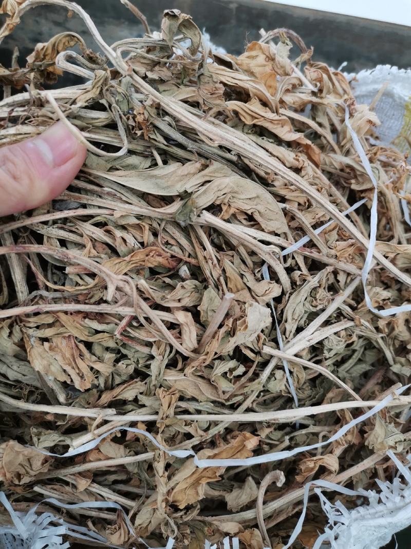 灵香草（香灵草）自产自销云南产地直销干货