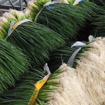 【一手货源】广西精品小葱大量上市产地直发小香葱整车发货