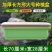 塑料多肉花盆大号特大花盆长方形花盆种菜盆种花盆种植箱包邮