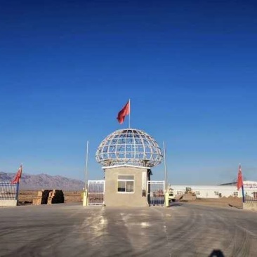 甘肃现代丝路寒农副产品双孢菇种植基地工厂批发量大优惠
