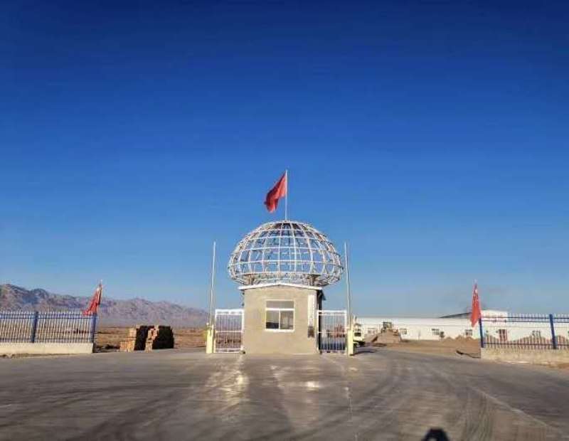 双孢菇货量足欢迎老板们采购