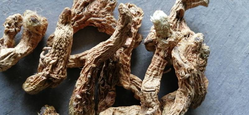 大量收购鲜知母，两年以上的，产地不现，有货的请予我连系