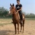矮马，德保矮马，小马驹，儿童骑乘矮马，小马