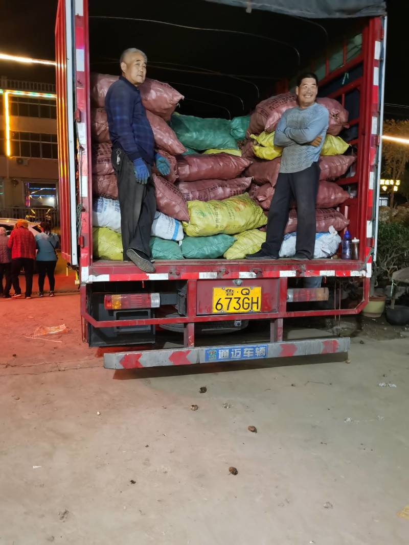 毛芋头，水芋头产地一手货源全国发货规格齐全