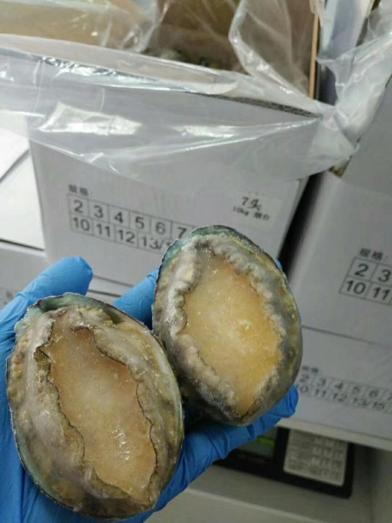 漂烫速冻鲍鱼，漂烫在八分熟度，缓化之后缩水小，口感劲道