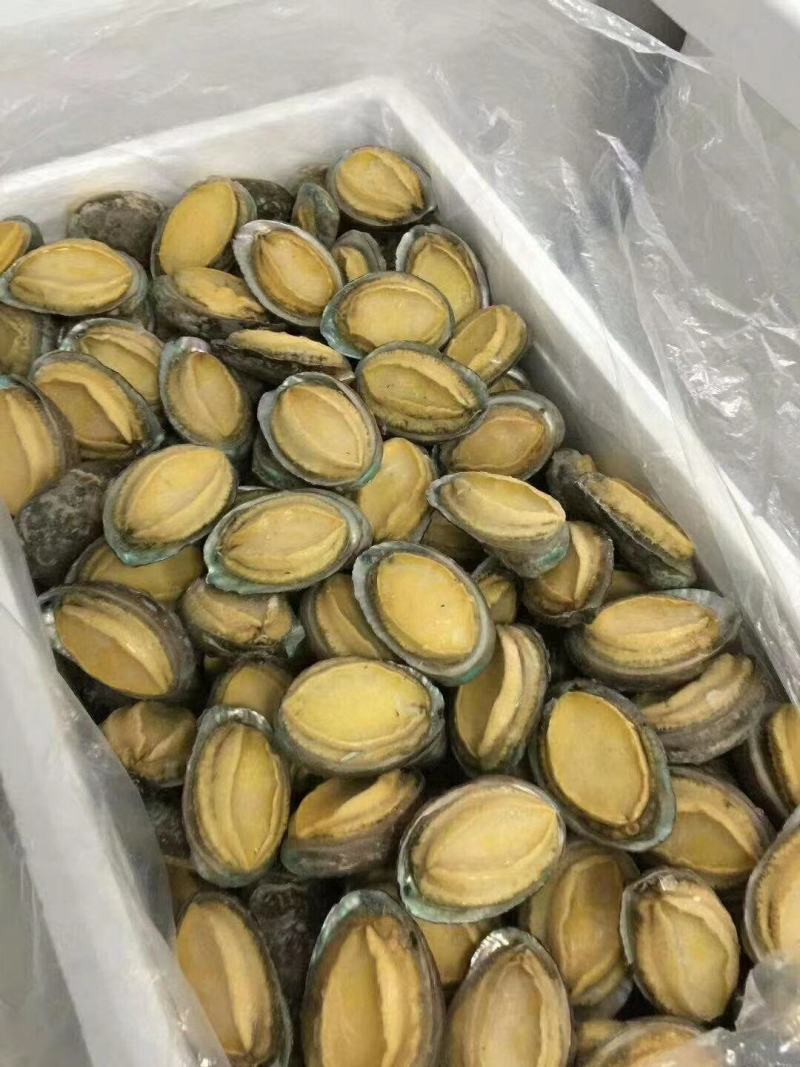 漂烫速冻鲍鱼，漂烫在八分熟度，缓化之后缩水小，口感劲道