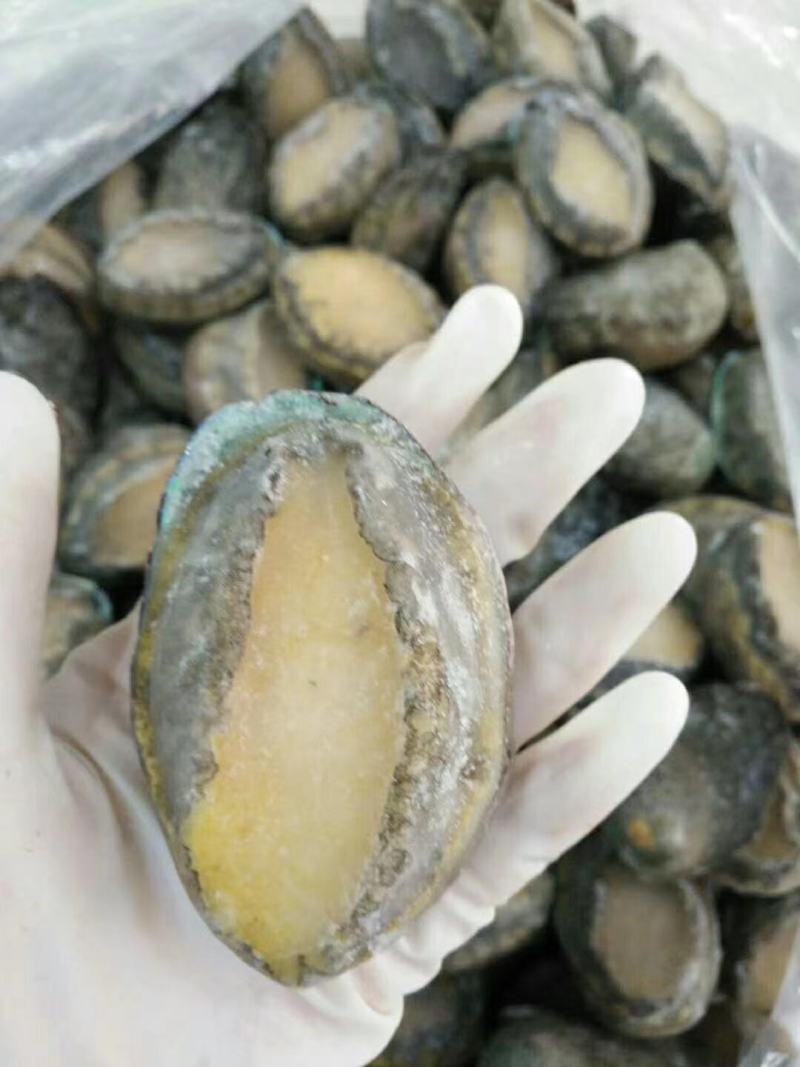 漂烫速冻鲍鱼，漂烫在八分熟度，缓化之后缩水小，口感劲道