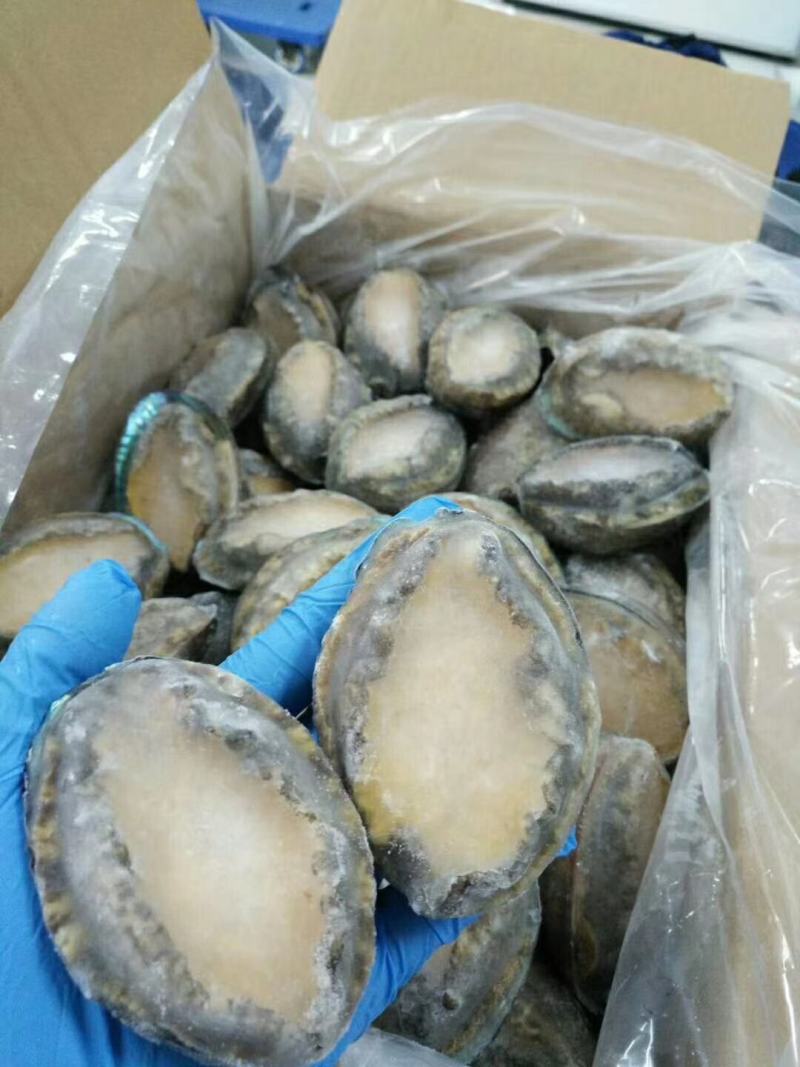 漂烫速冻鲍鱼，漂烫在八分熟度，缓化之后缩水小，口感劲道