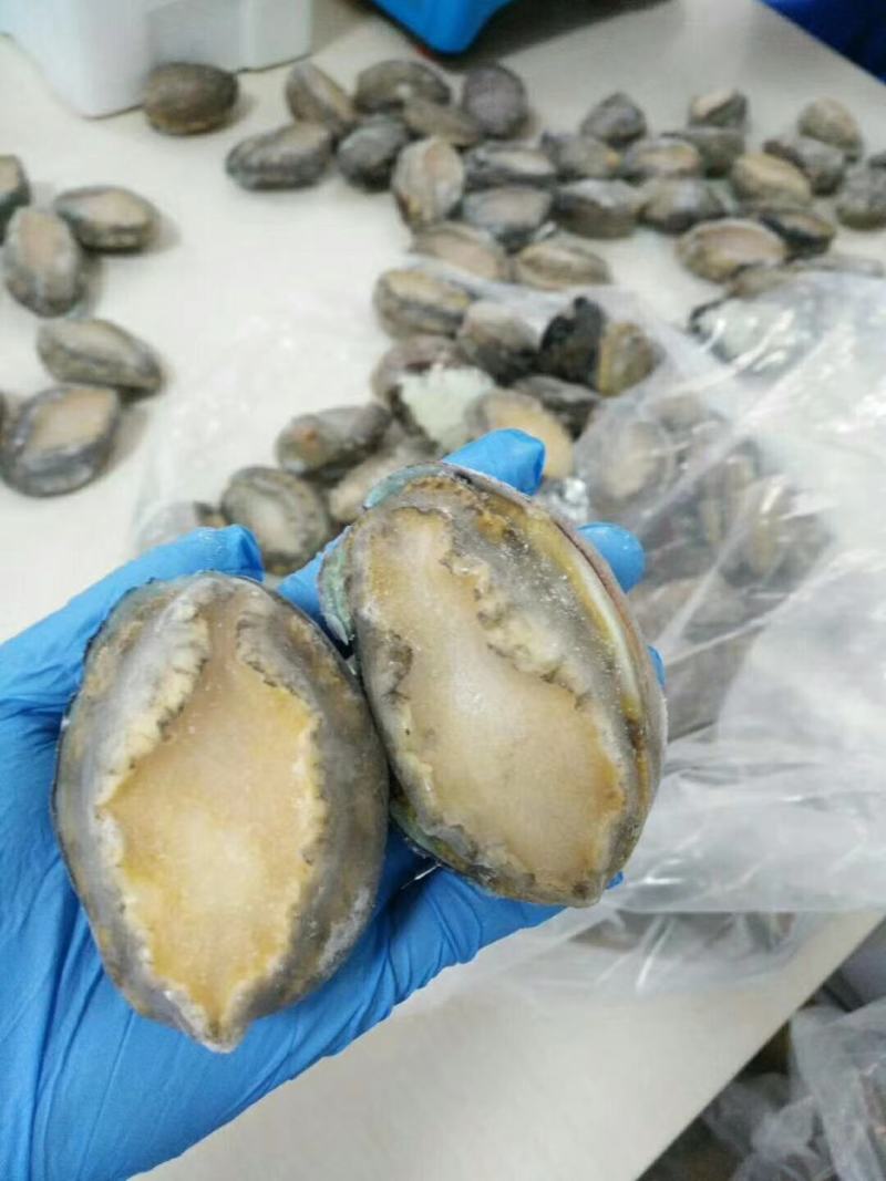 漂烫速冻鲍鱼，漂烫在八分熟度，缓化之后缩水小，口感劲道