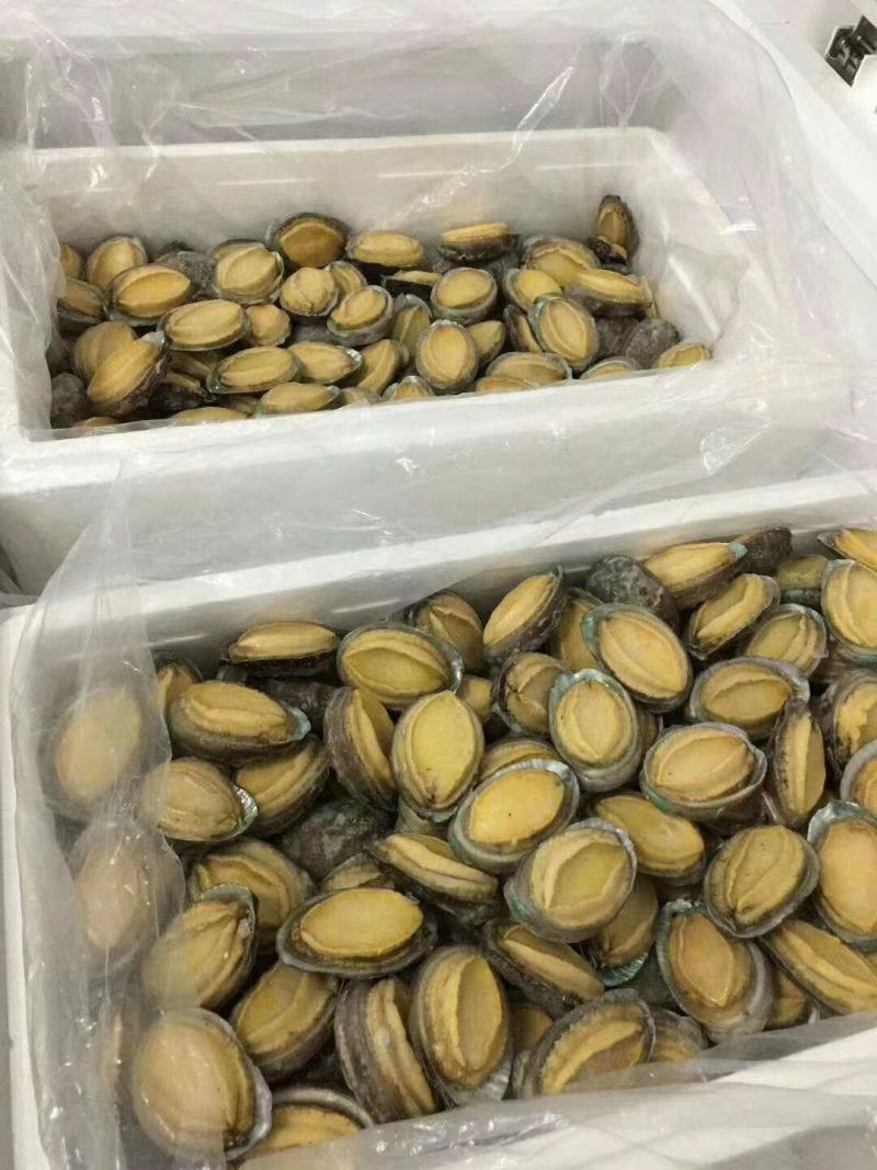 漂烫速冻鲍鱼，漂烫在八分熟度，缓化之后缩水小，口感劲道